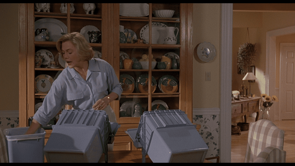 SERIAL MOM: COLLECTOR'S EDITION 11