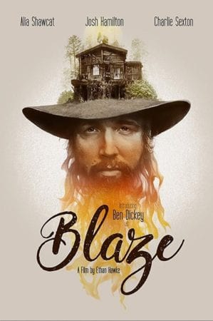 Best of 2018 #9: Blaze, Paddington 2, First Reformed, The Sisters Brothers 9