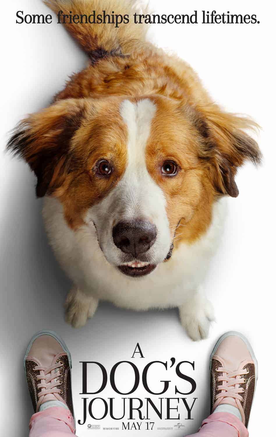 a dog's journey poster