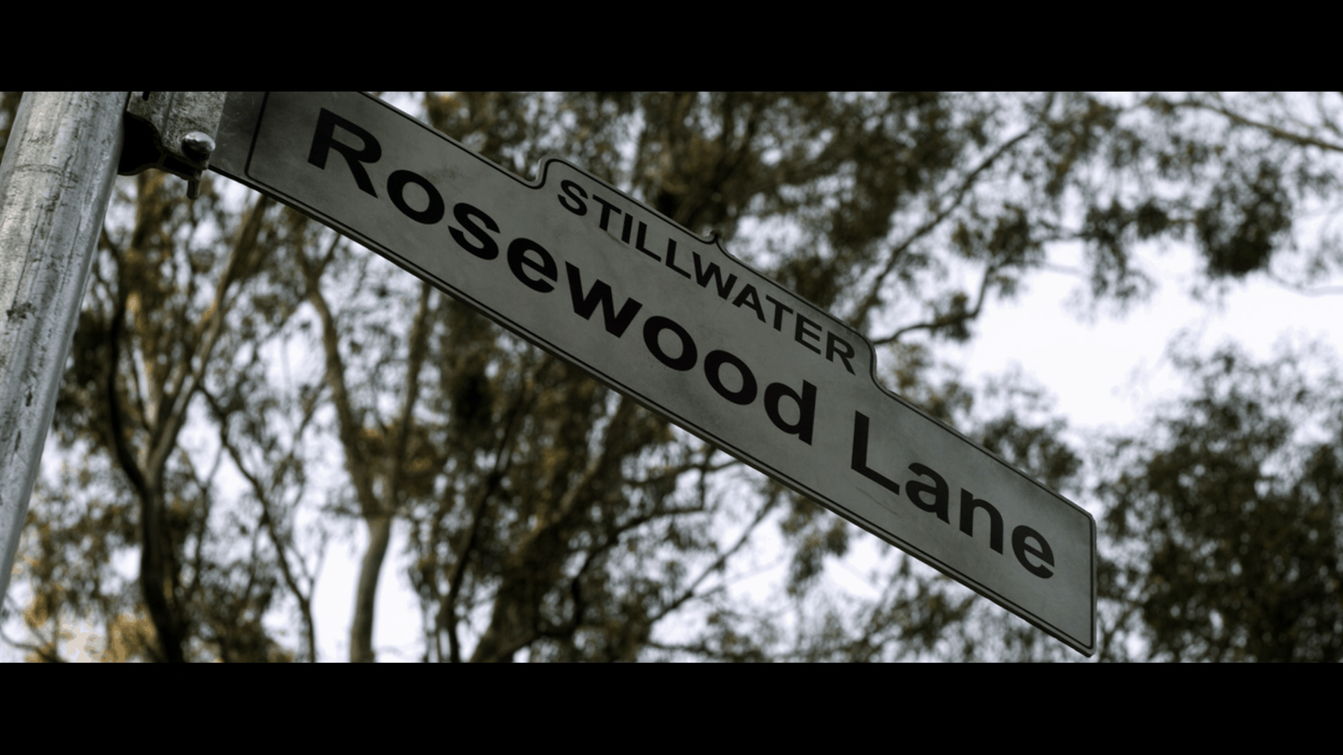 Rosewood Lane title 2020