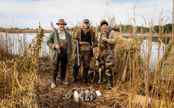 TRADITIONAL WILD AMERICA