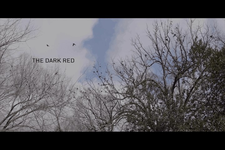 the dark red title