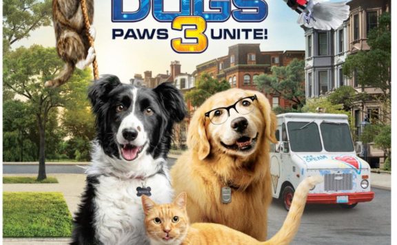 cats and dogs 3 blu ray box cats & dogs 3 paws unite