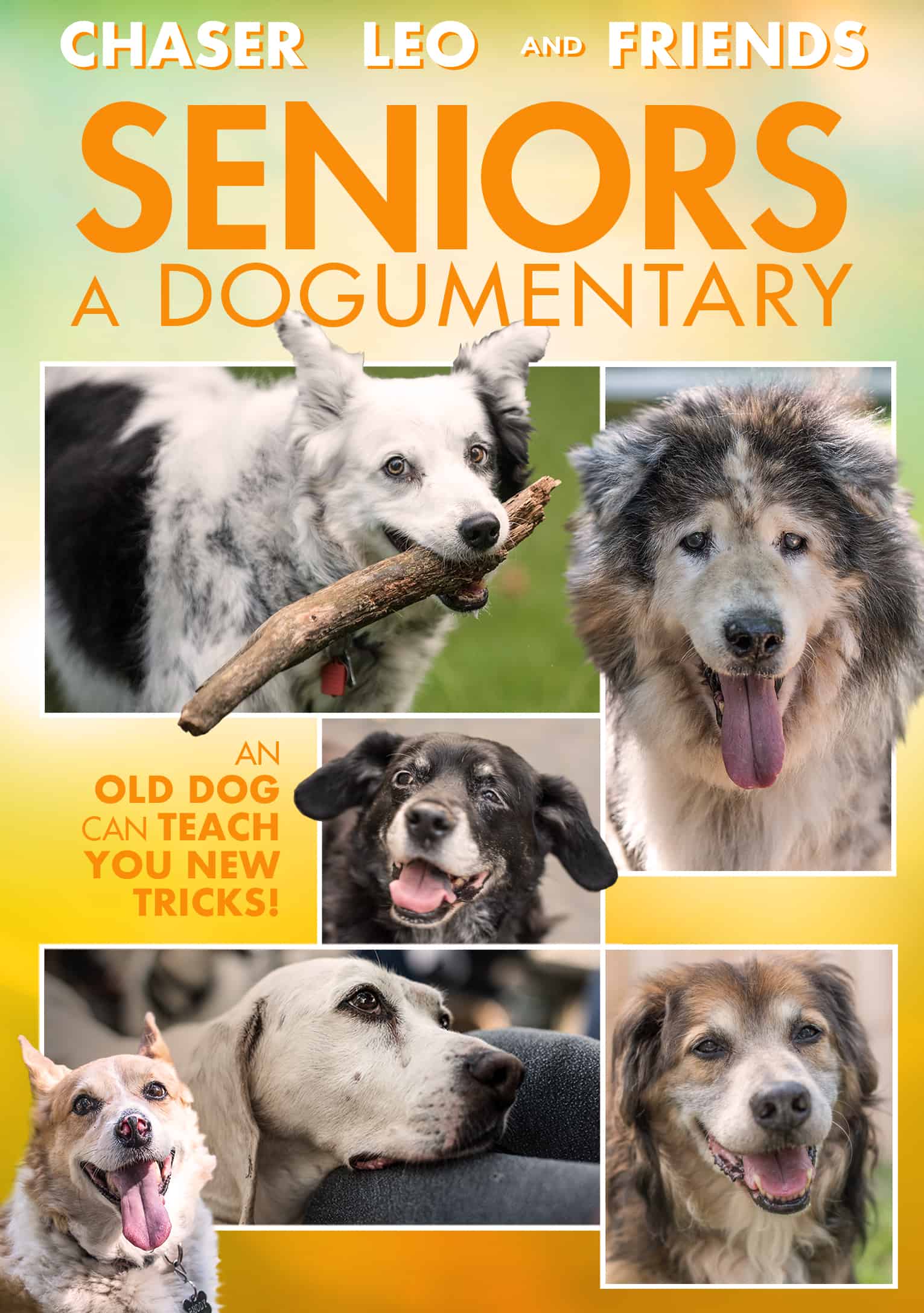 seniors a dogumentary september 29th