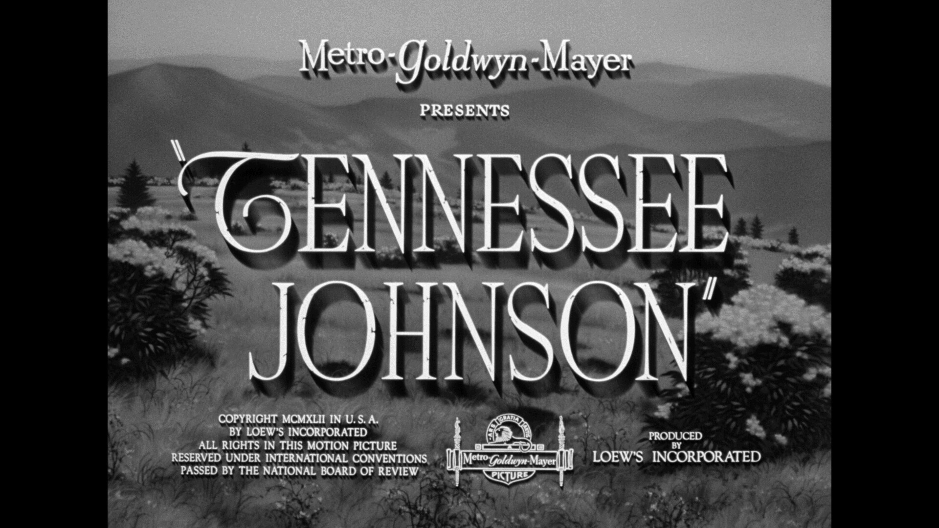 tennesse johnson title