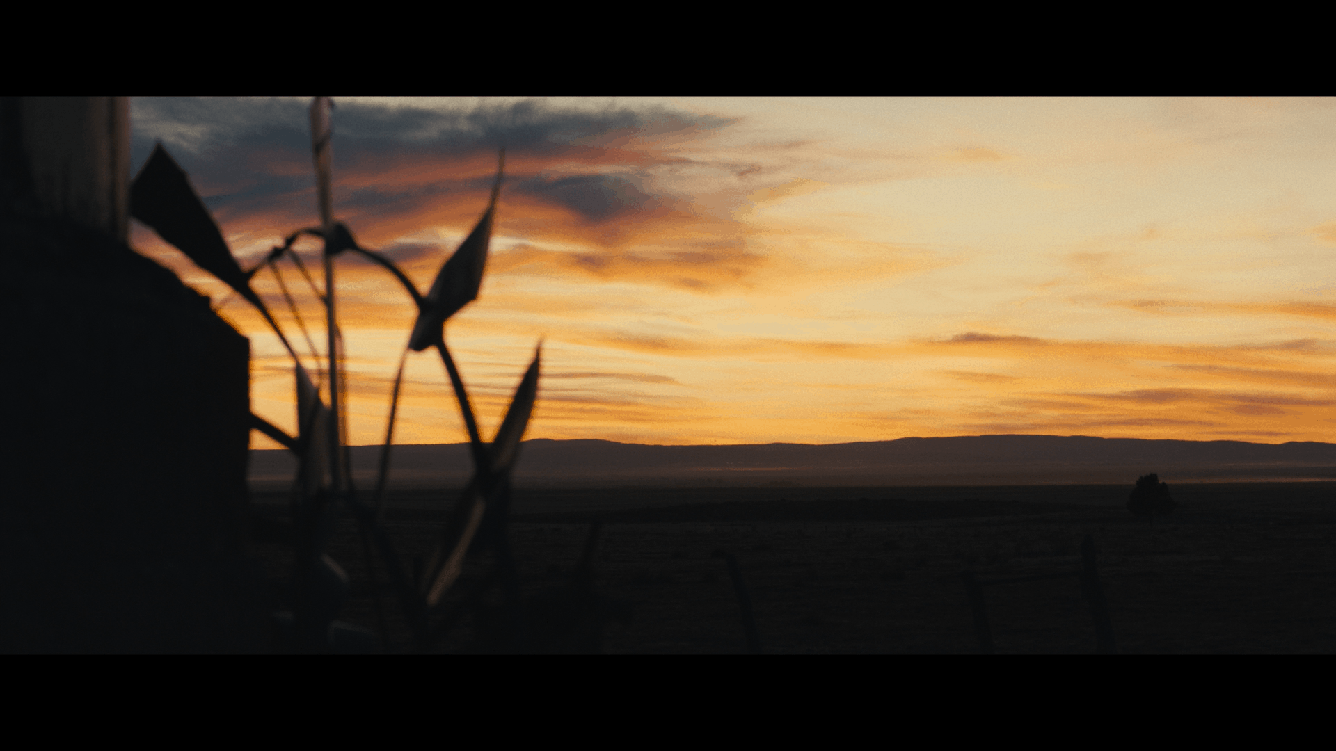 Dreamland (2019) [Merkin Fantasy Film Review] 22