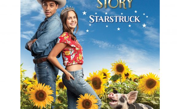 Cinderella Story Starstruck DVD Boxart 2