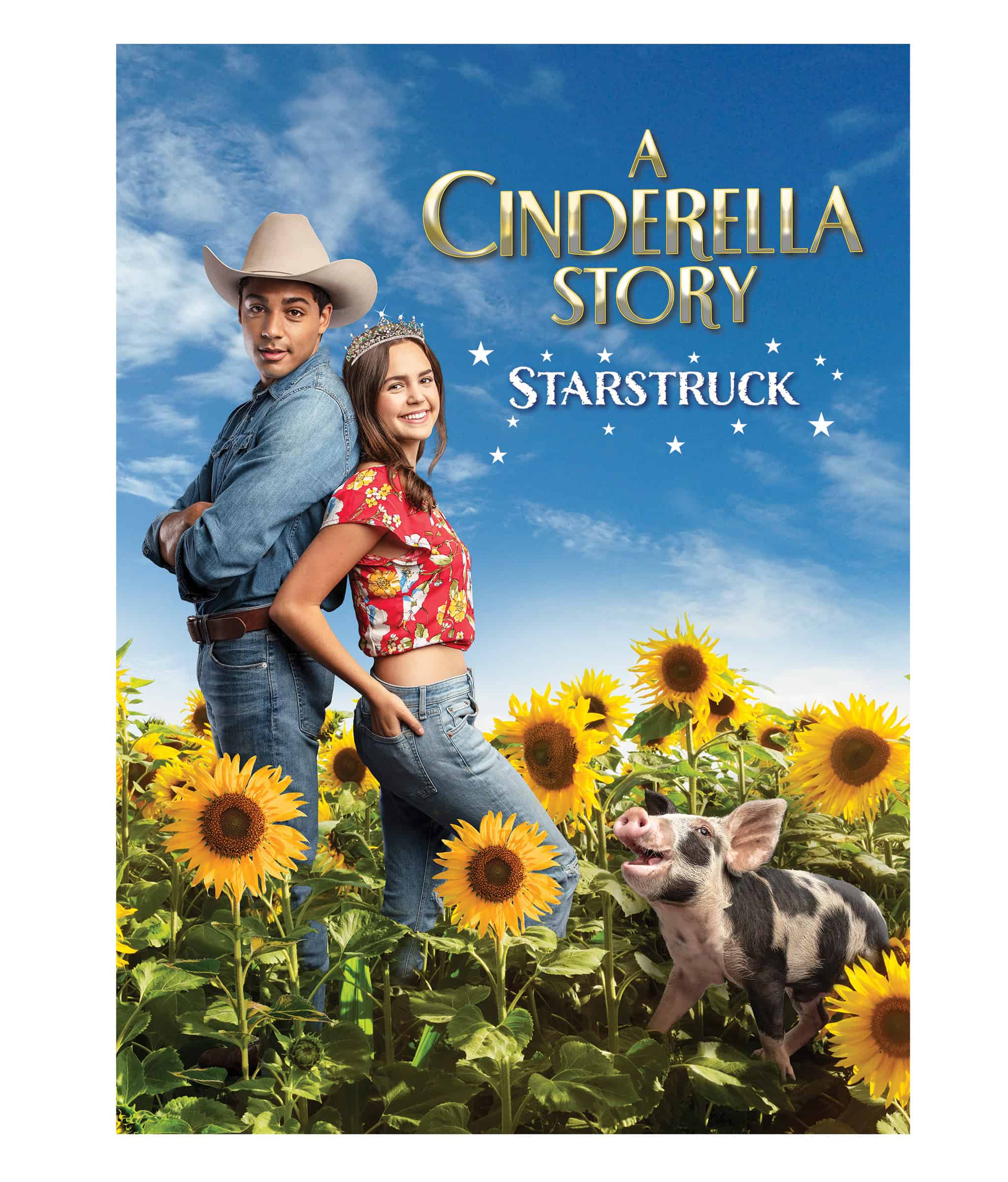 Cinderella Story Starstruck DVD Boxart 2