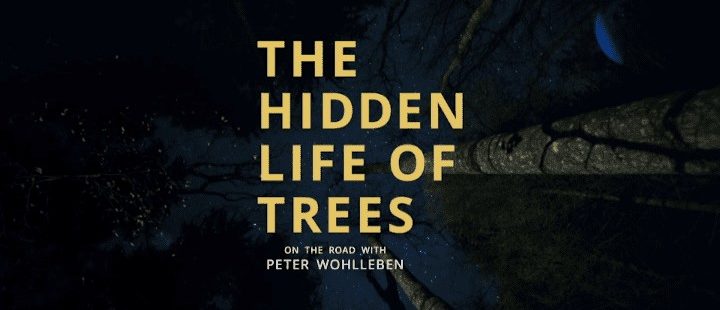 hidden life of trees logo
