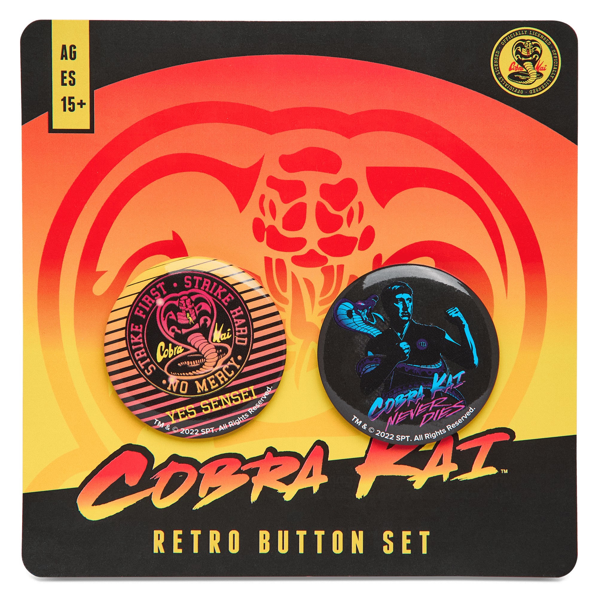 Cobra Kai Loot Crate Collection