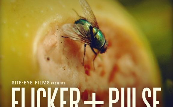 Wendy Rae Fowler's original score for BBC documentary Flick and Pulse arrives on March 31st 19