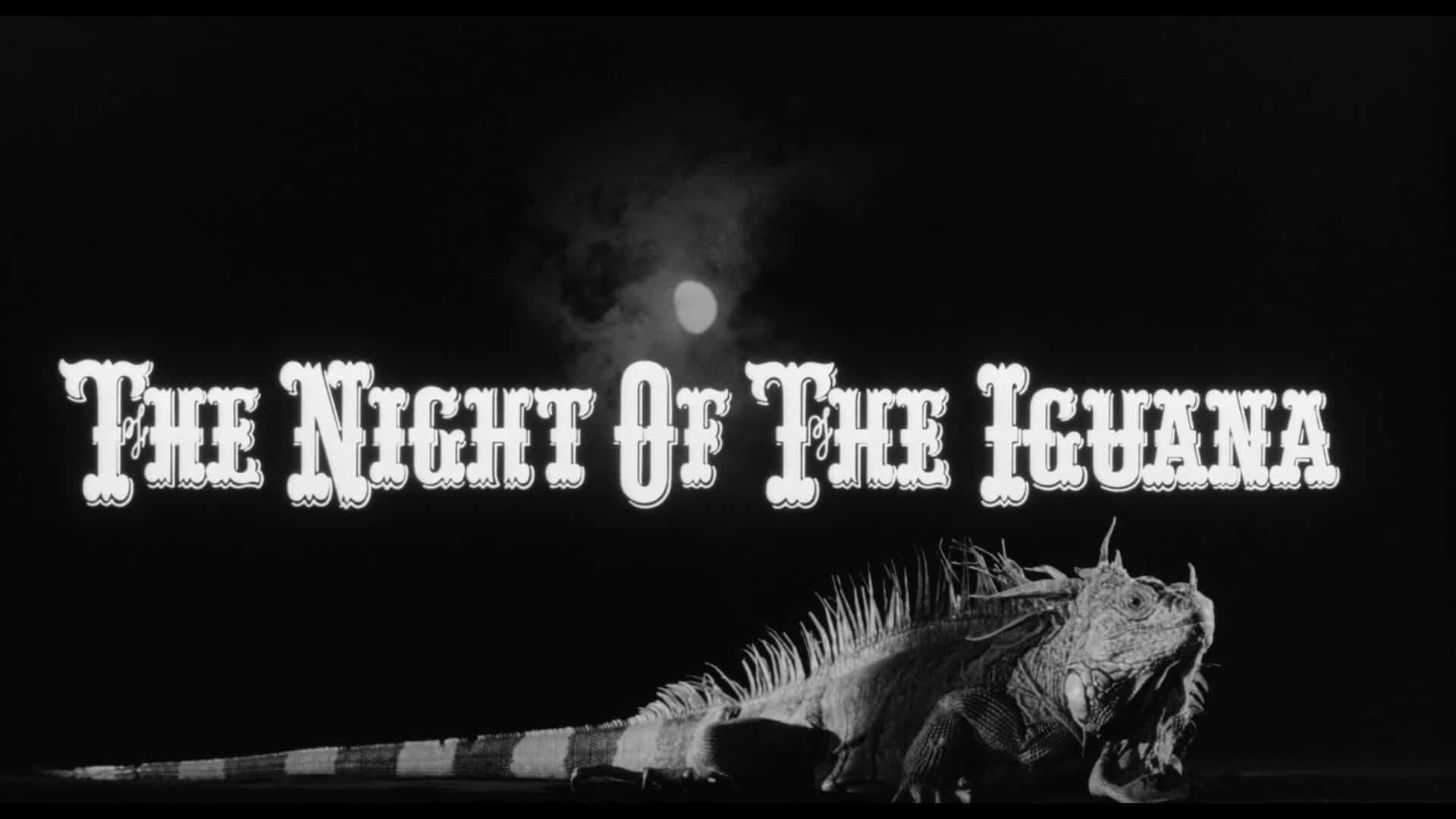 night of the iguana title card