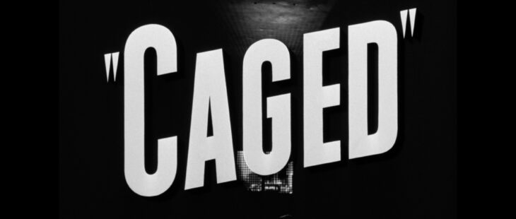 Caged (1950) [Warner Archive Collection Blu-ray review] 38