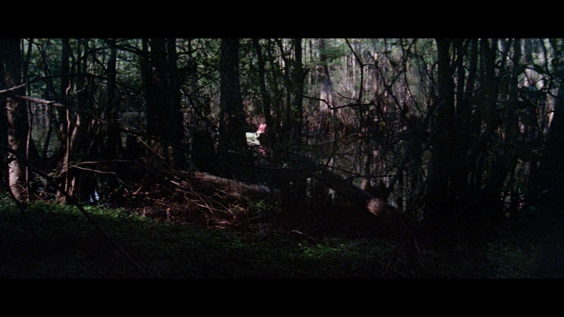 creature from black lake blu synapse (2)