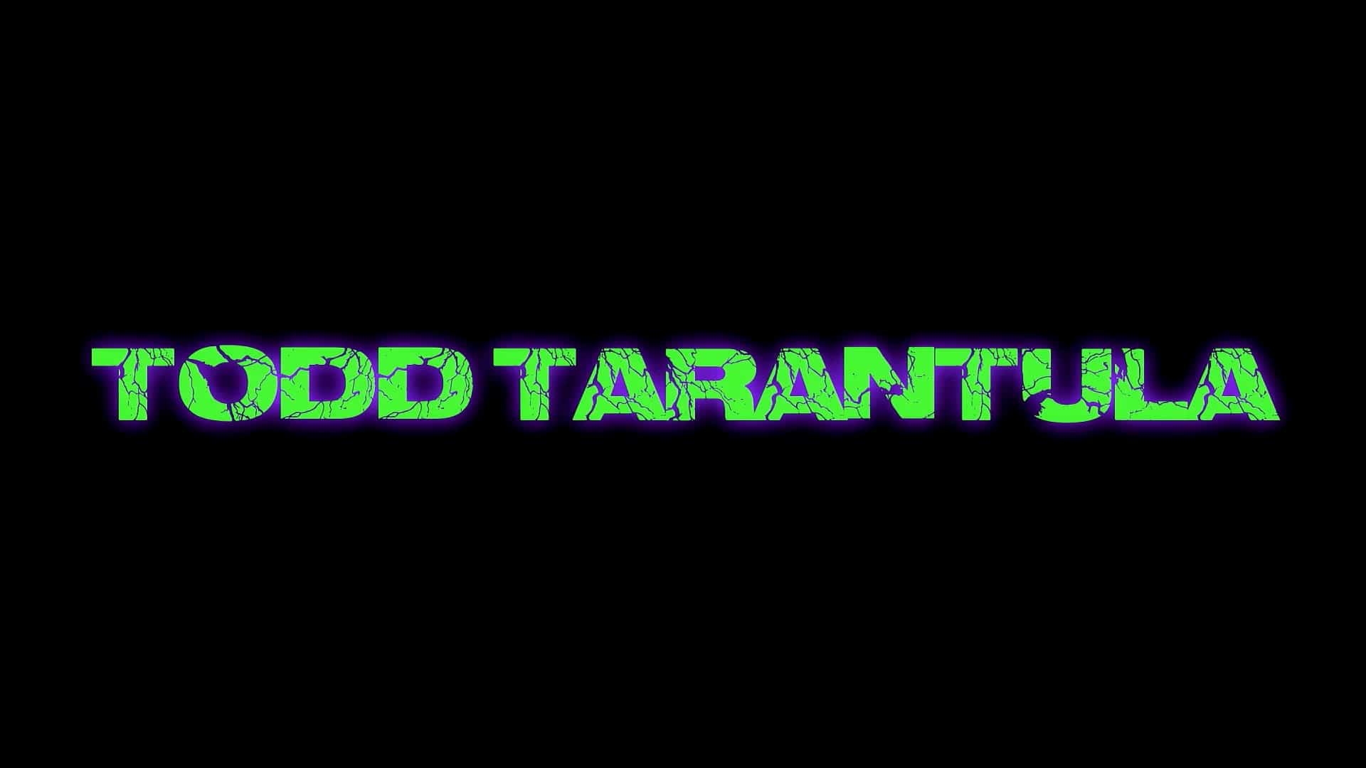 Todd Tarantula (2023) [Blu-ray review] 17
