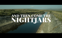 Poignant Drama And Then Came the Nightjars Hits Digital October 3 3