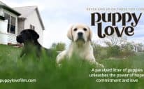 Puppy Love - A Heartwarming Dog Film Coming October 24 3
