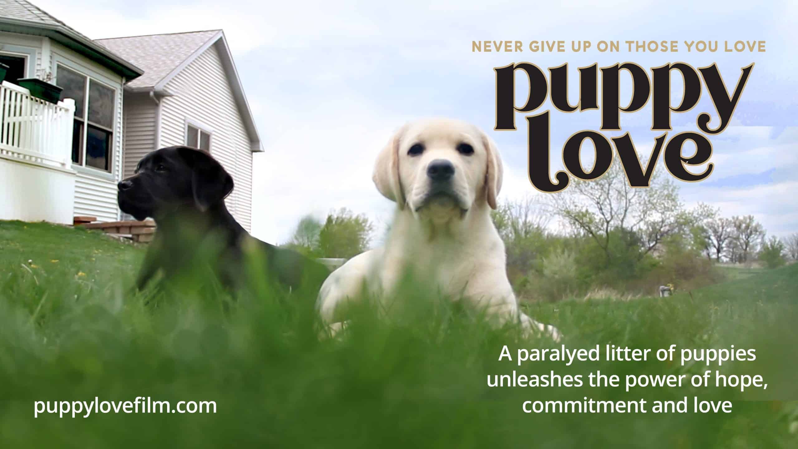 Puppy Love - A Heartwarming Dog Film Coming October 24 75