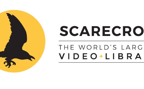 Rejoice, Cinephiles: Scarecrow Video Launches New Site for Rare DVD and Blu-Ray Rentals 24