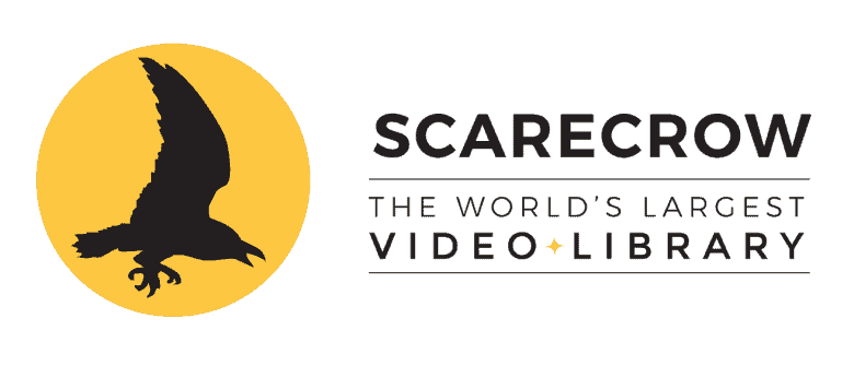 Rejoice, Cinephiles: Scarecrow Video Launches New Site for Rare DVD and Blu-Ray Rentals 17