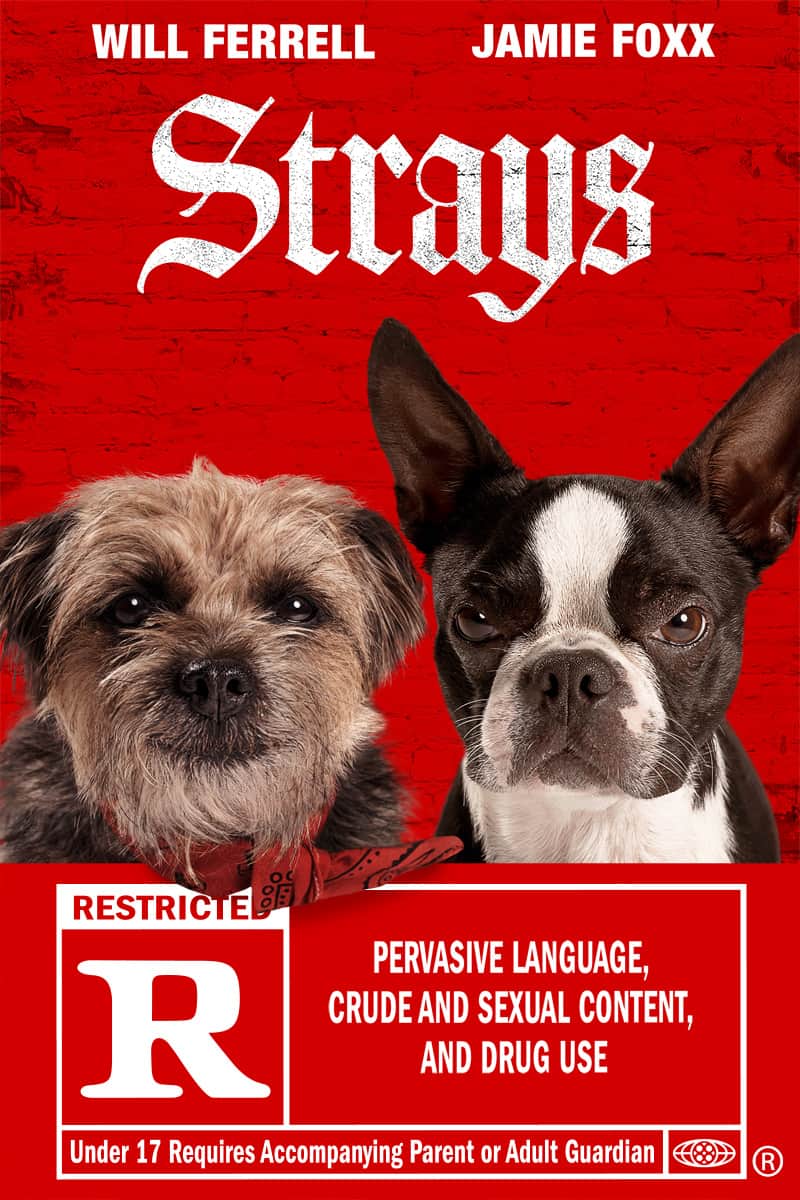 STRAYS: A Riotous, Unconventional Dog Comedy Hits Digital Platforms! 73