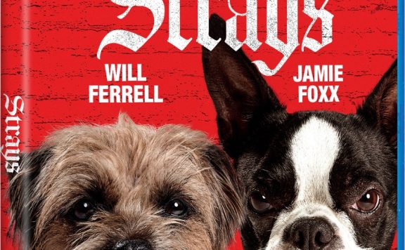 Strays Comedy Unleashed on Digital and Blu-ray with Tail-Wagging Bonuses 29