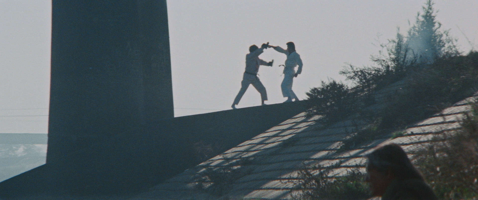 "Beast Fighter": Eureka Entertainment Unleashes Sonny Chiba's Martial Arts Classics 9