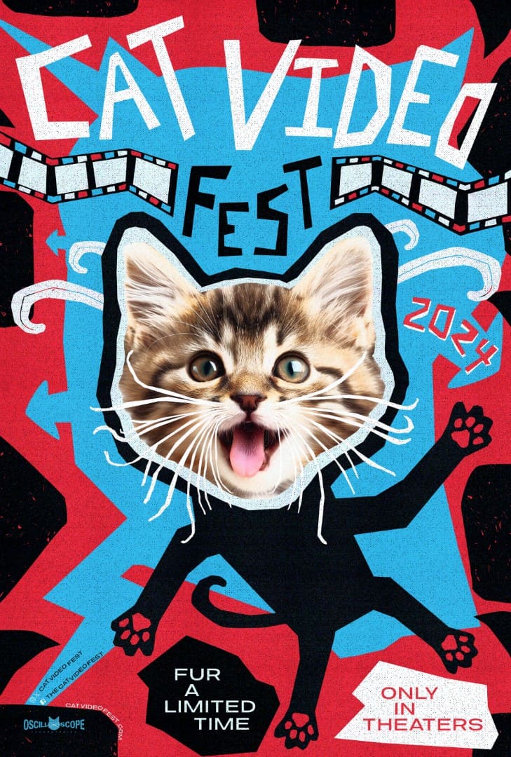 CatVideoFest 2024: The World’s #1 Cat Video Festival Returns 73