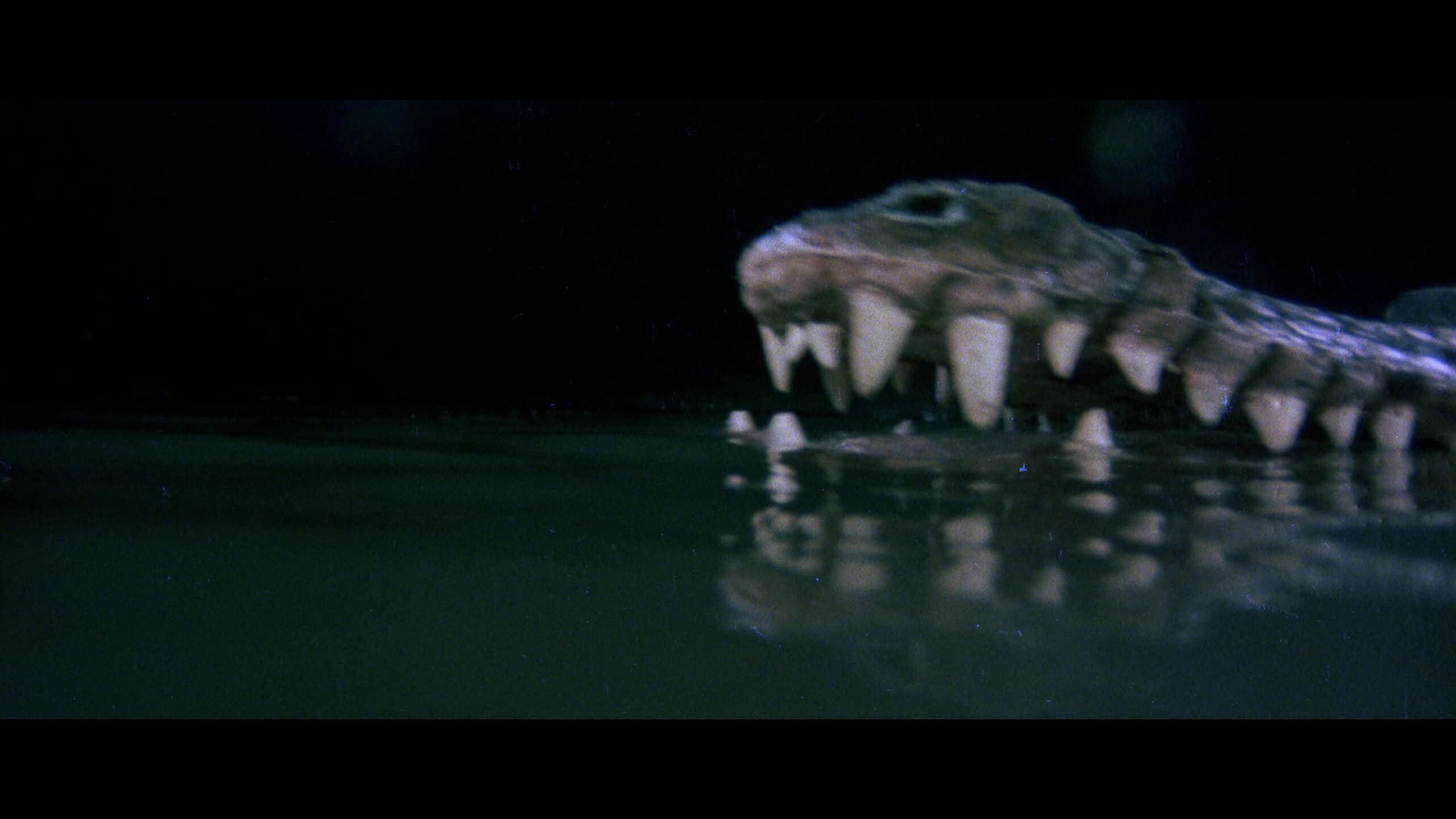 The Great Alligator (1979) [Severin 4K UHD Review] 59