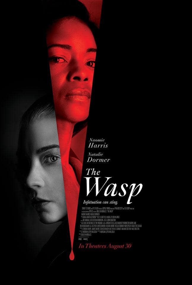 The Wasp: A Gripping Psychological Thriller Premieres October 1 74