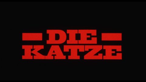The Cat (1988) [Radiance Films Blu-ray Review] 7