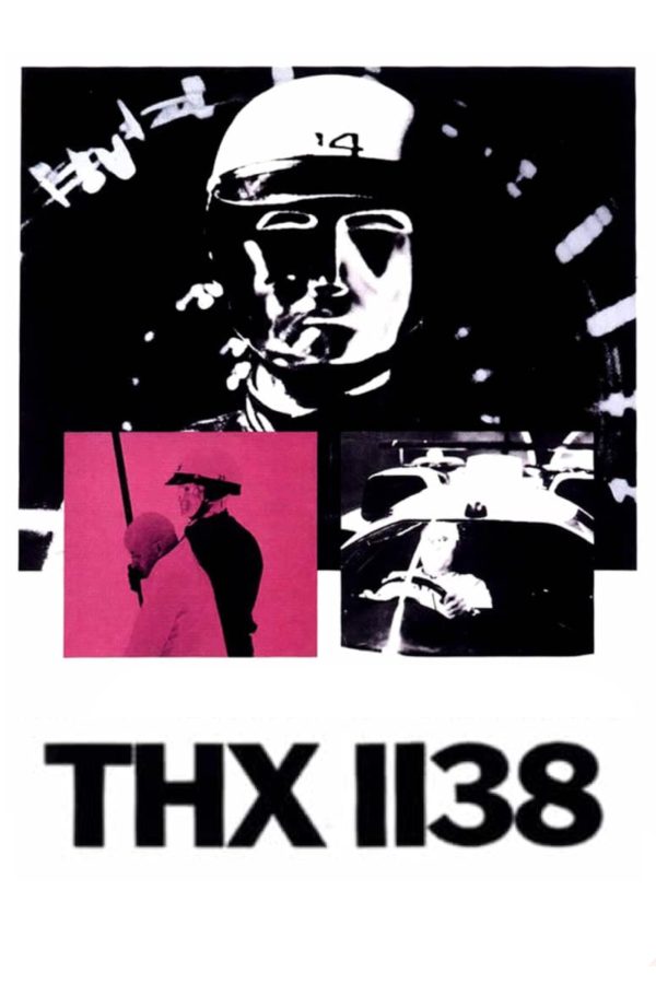 Home 119
