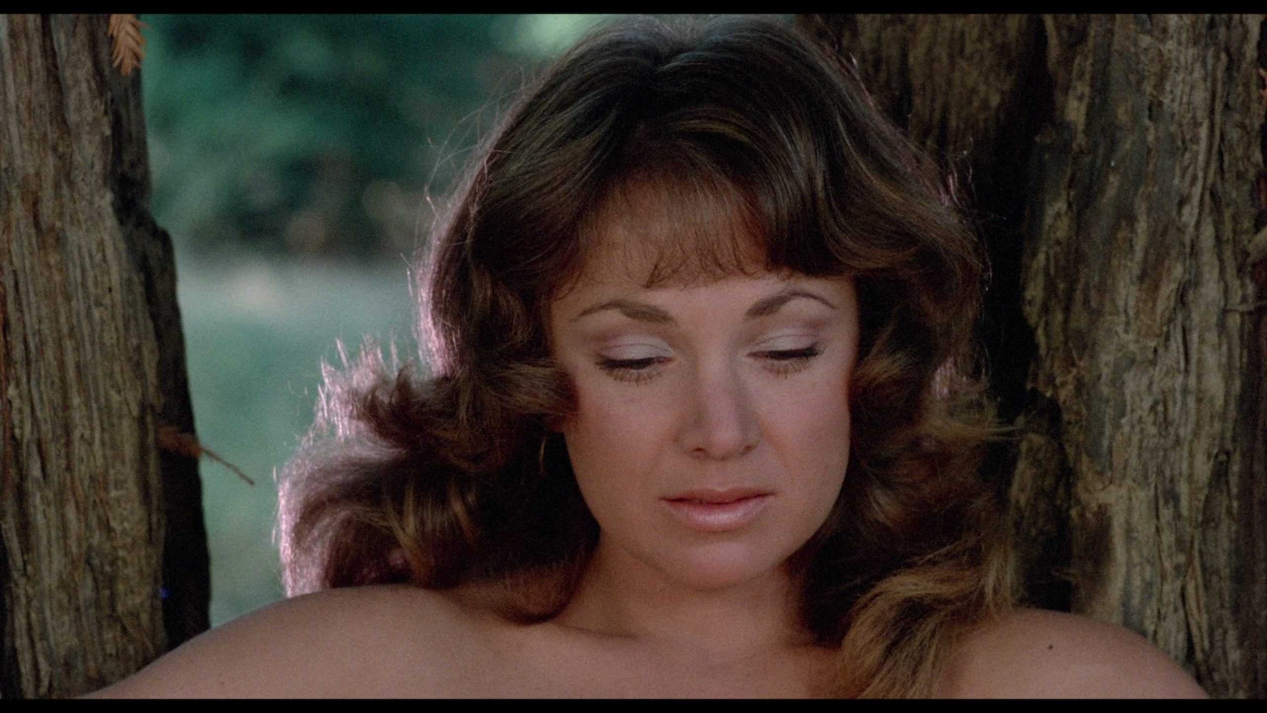 Up! (1976) [Severin Films Blu-ray review] 13