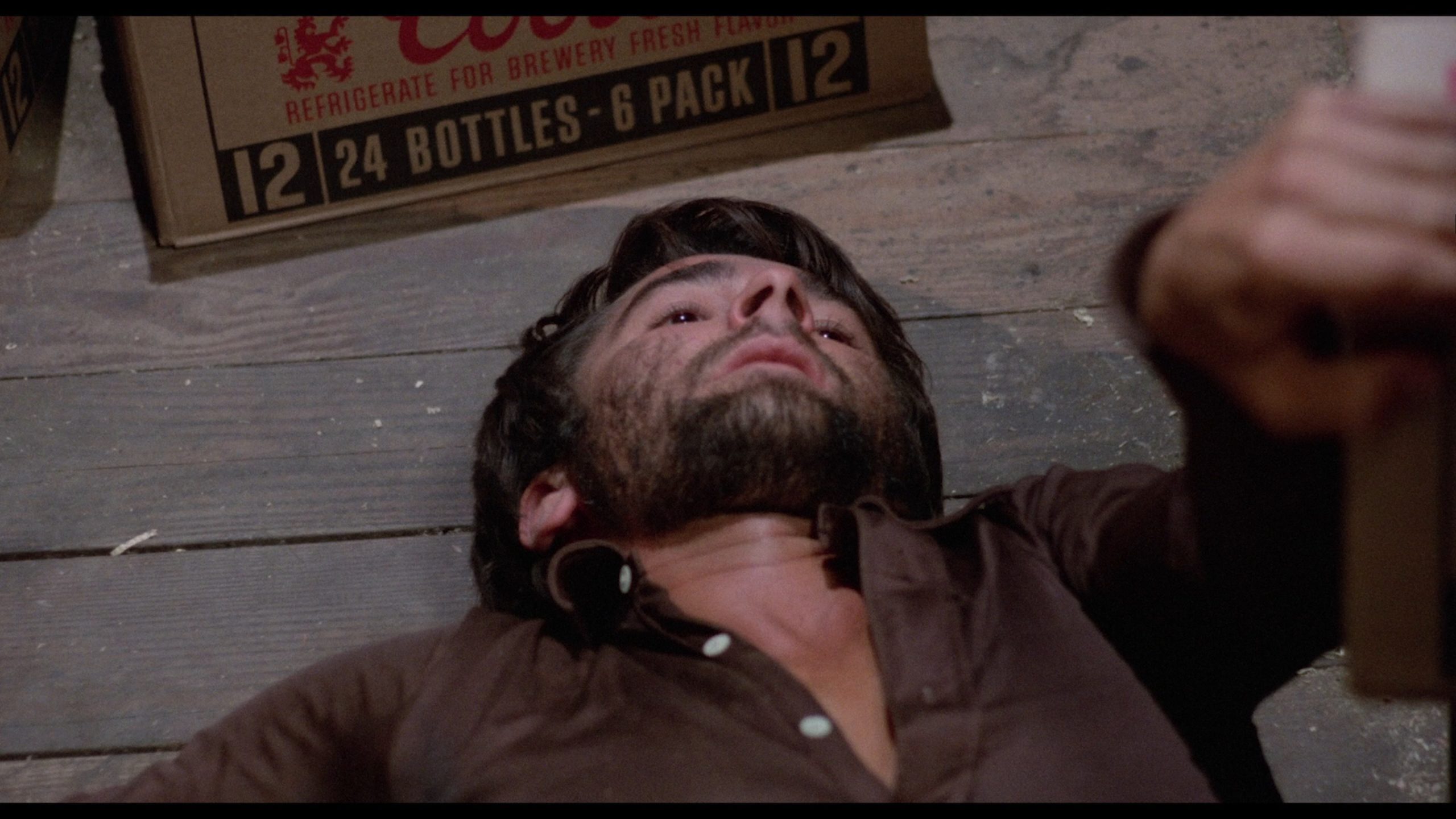 Up! (1976) [Severin Films Blu-ray review] 19