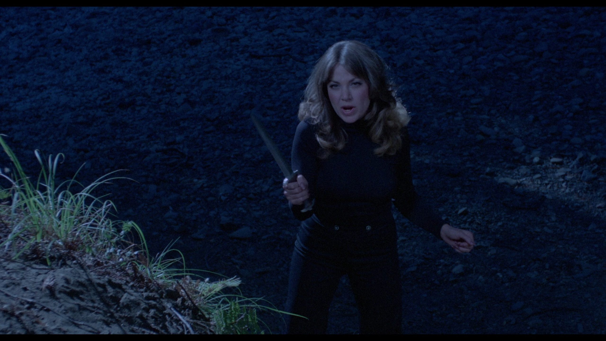 Up! (1976) [Severin Films Blu-ray review] 17