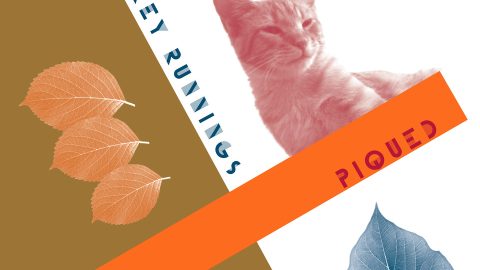 Piqued, Jeffrey Runnings’ posthumous solo album, arrives July 11 with bonus ’80s material. First single “Batman Forever” streaming now. 11