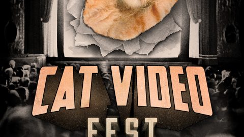 CatVideoFest 2025: When the Internet's Greatest Obsession Gets the Theatrical Treatment It Deserves 11