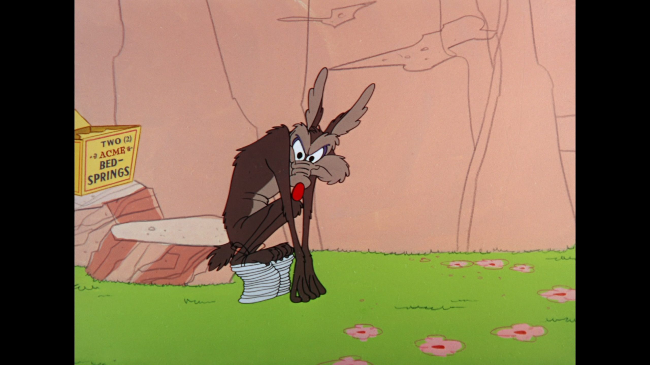 looney tunes vol 1 collectors vault br 
