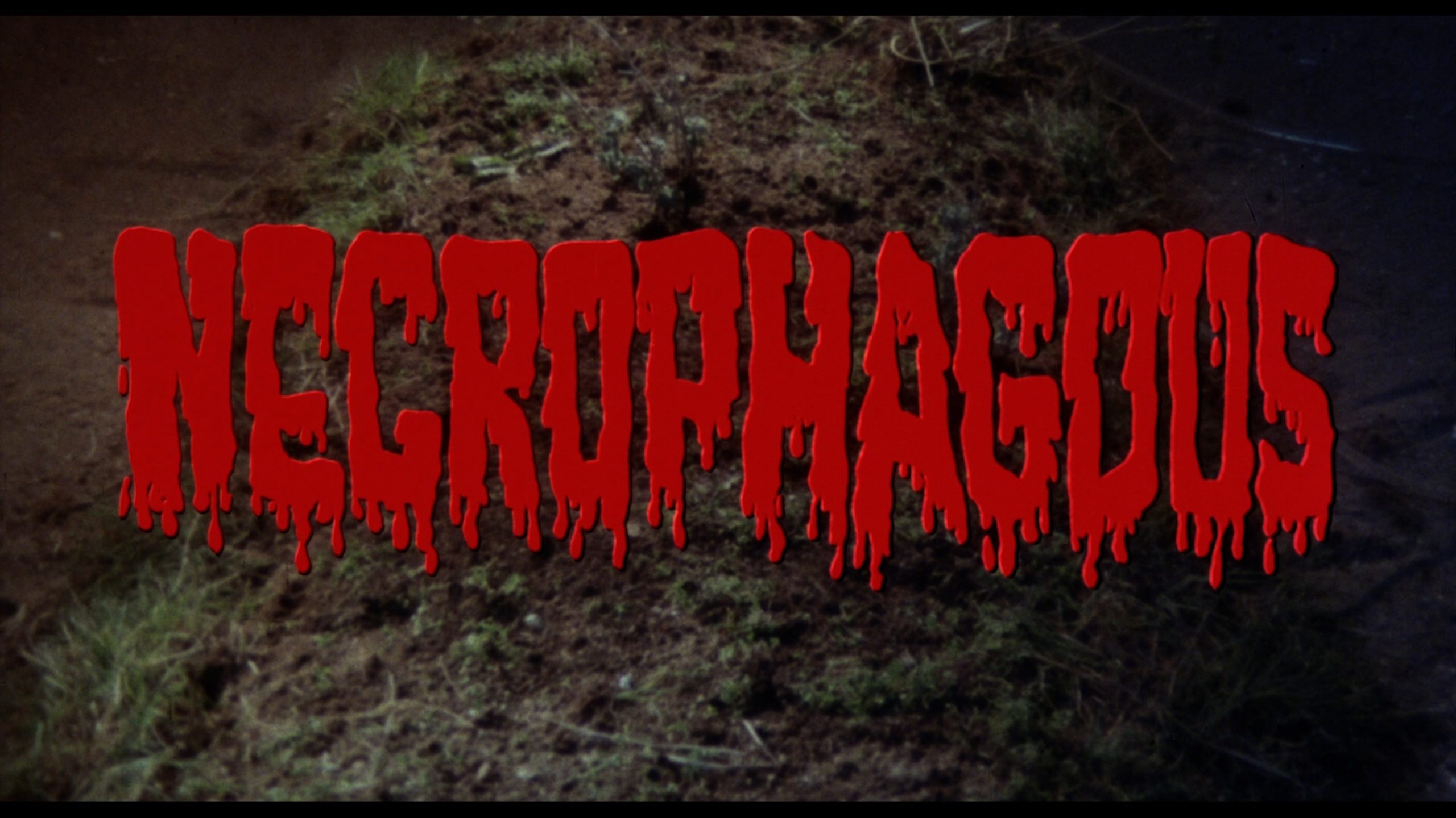 Necrophagus (1971) [Danza Macabra Volume 3 Blu-ray Review] 25