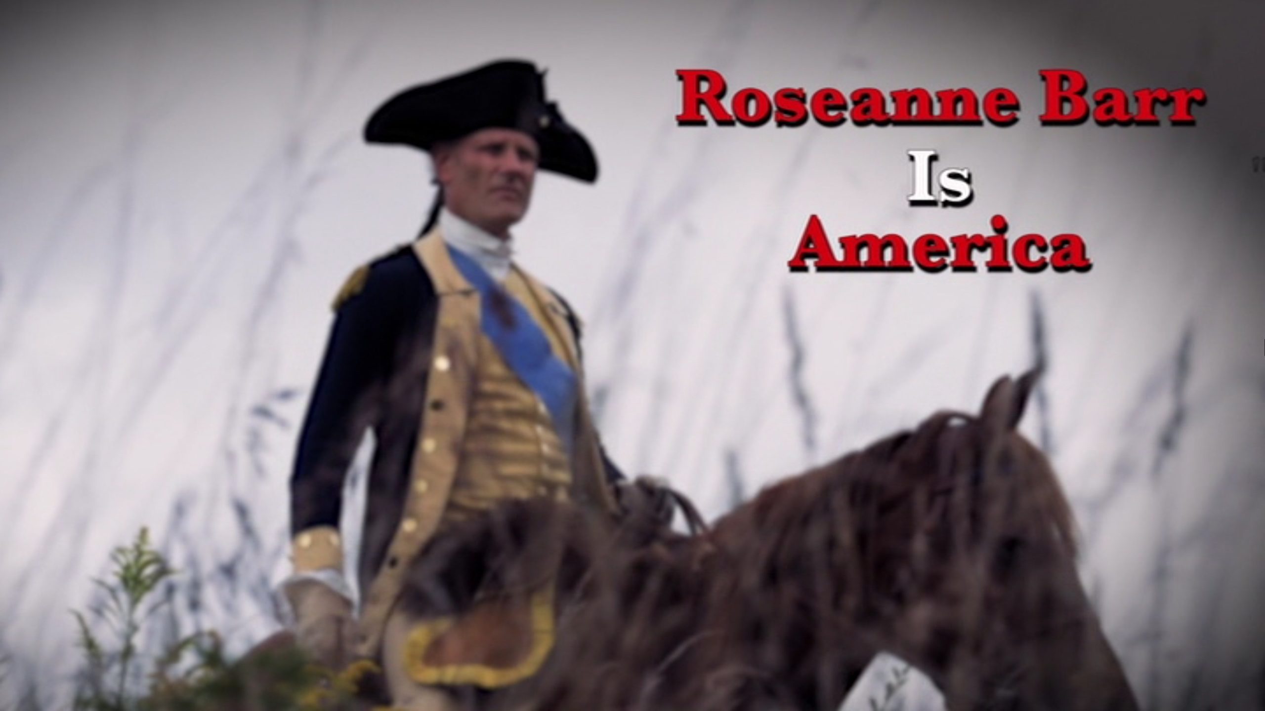 Roseanne Barr is America (2025) [Highway 61 Entertainment DVD Review] |  AndersonVision, image size:2560x1440