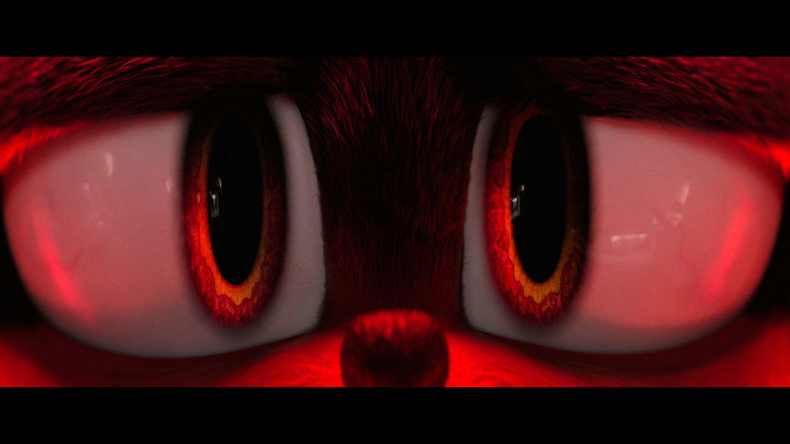 Sonic the Hedgehog 3 (2024) [4K UHD Steelbook Review] 12