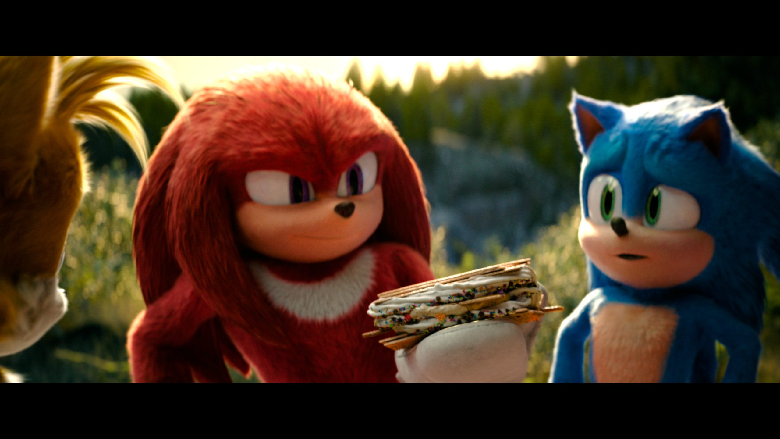 Sonic the Hedgehog 3 (2024) [4K UHD Steelbook Review] 15