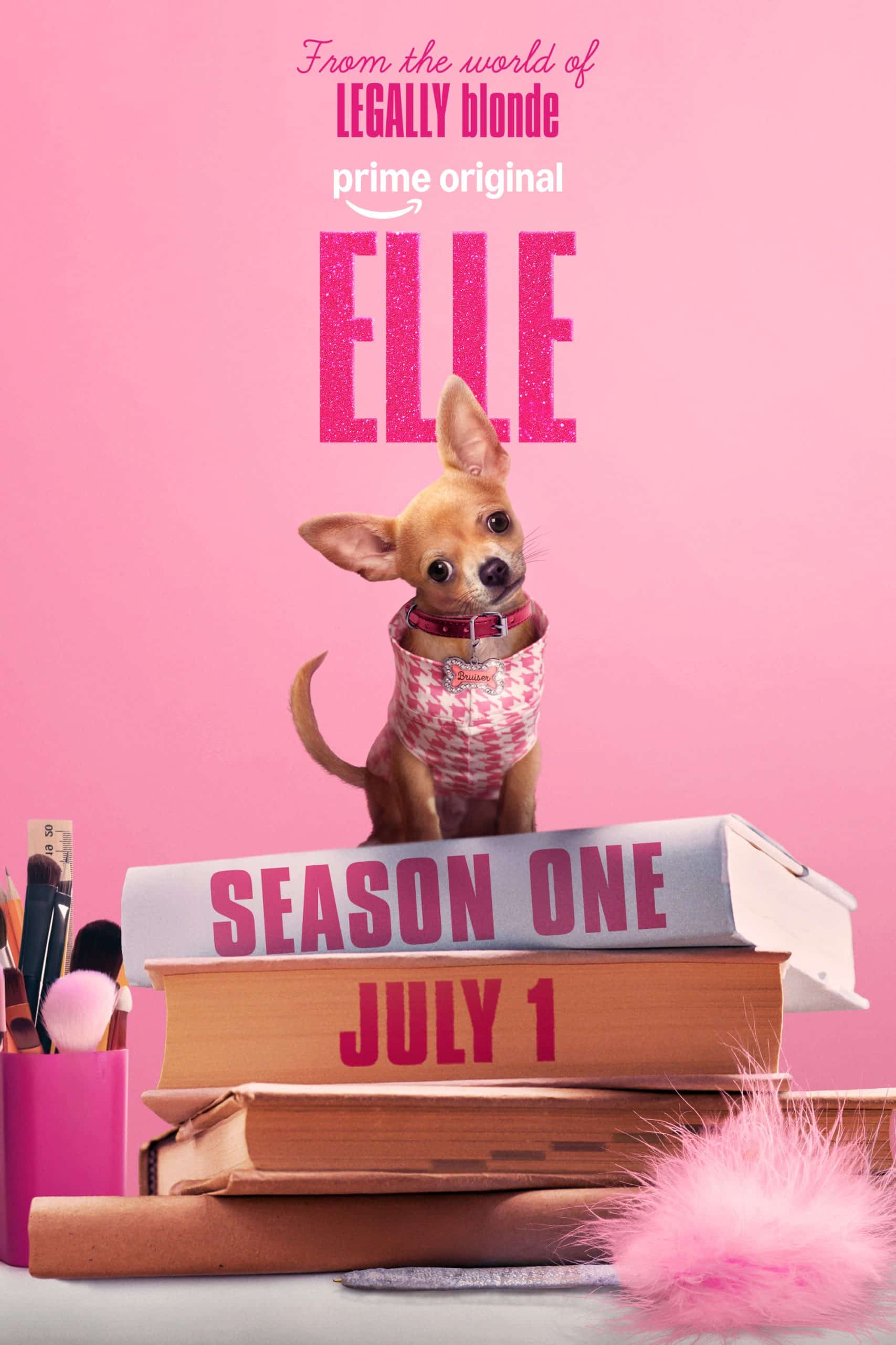 Elle Is the Legally Blonde Prequel That Just Got Renewed Before It Even Premiere