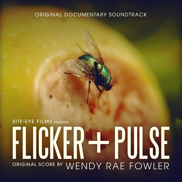 Wendy Rae Fowler’s original score for BBC documentary Flick and Pulse arrives on March 31st