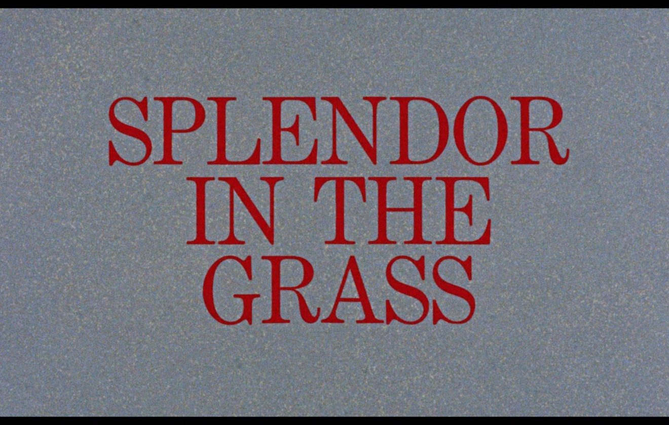 Splendor in the Grass (1961) [Warner Archive Blu-ray Review ...