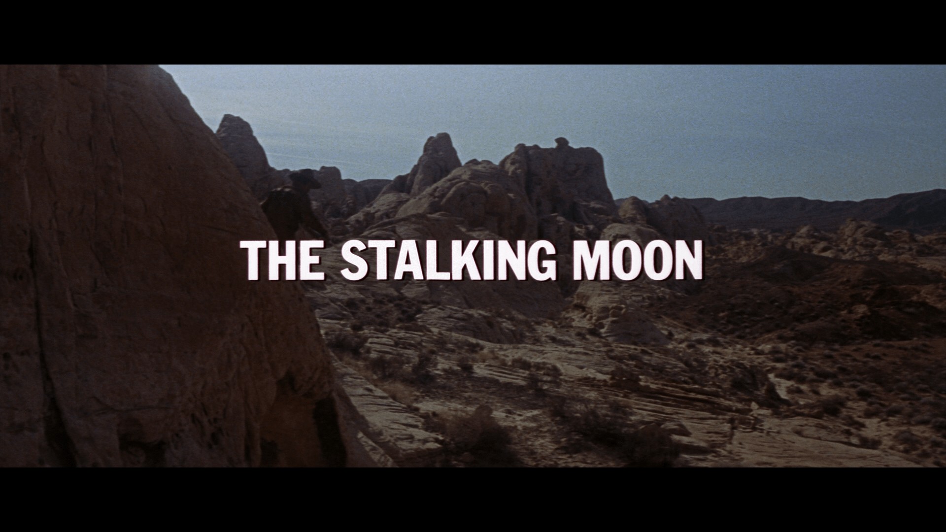 Gregory Peck annoyed at Eva Marie Saint after leg stabbing: The Stalking Moon review