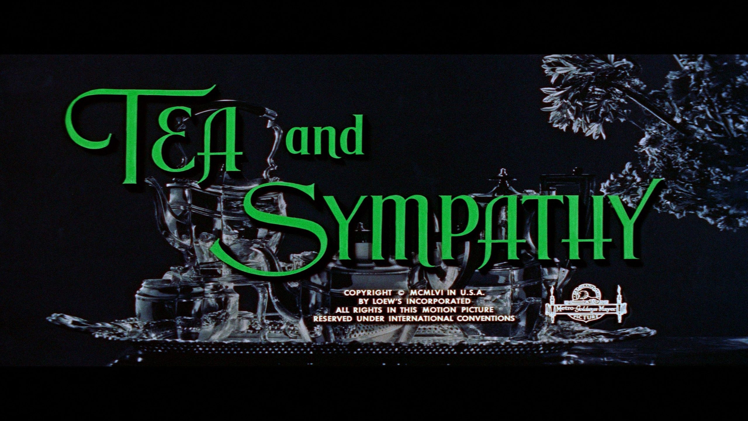 tea and sympathy warner archive blu ray