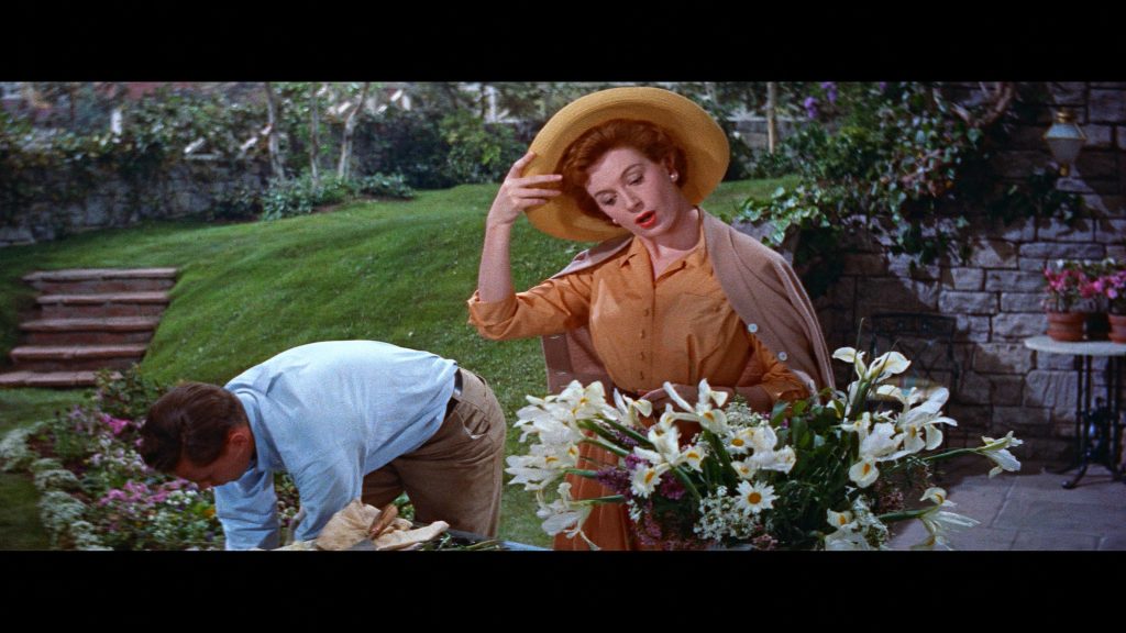 tea and sympathy warner archive blu ray