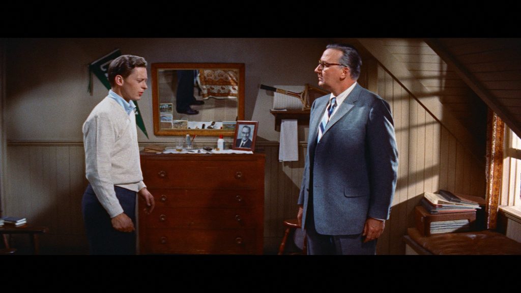 tea and sympathy warner archive blu ray