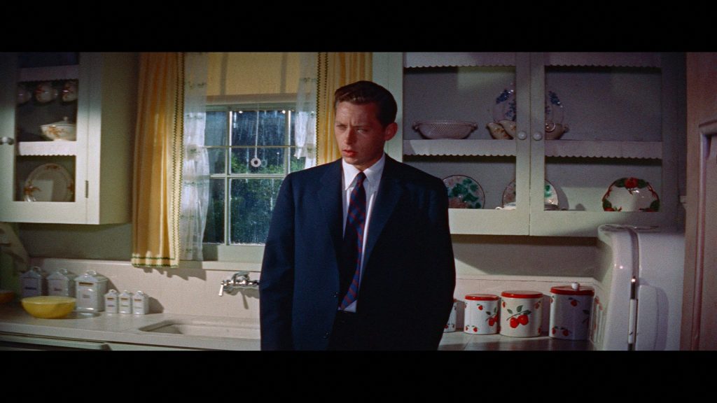 tea and sympathy warner archive blu ray